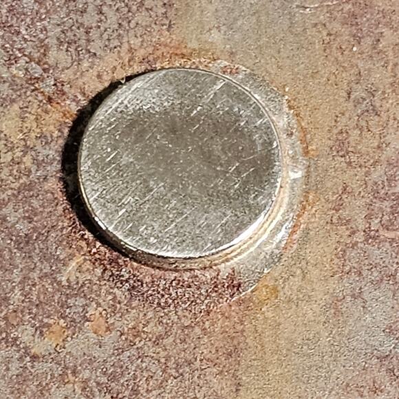 Decorative Magnets Bear Moose 5" Refrigerator Metal Rustic Wilderness Animal - Picture 4 of 9